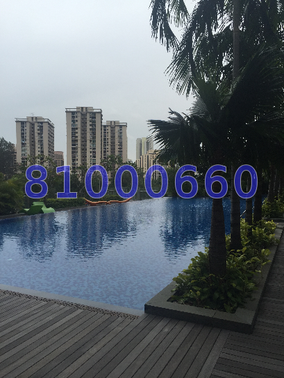 The Rochester Residences (D5), Condominium #38631962